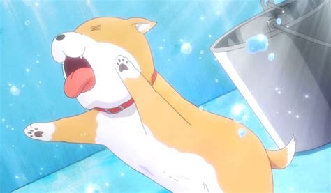 animales anime|Top 20 Cute Anime Pets You Wish You Could Have!.